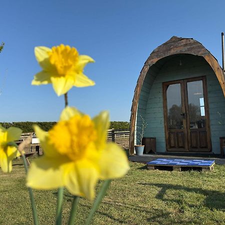 Skipbridge Farm Glamping 约克 外观 照片