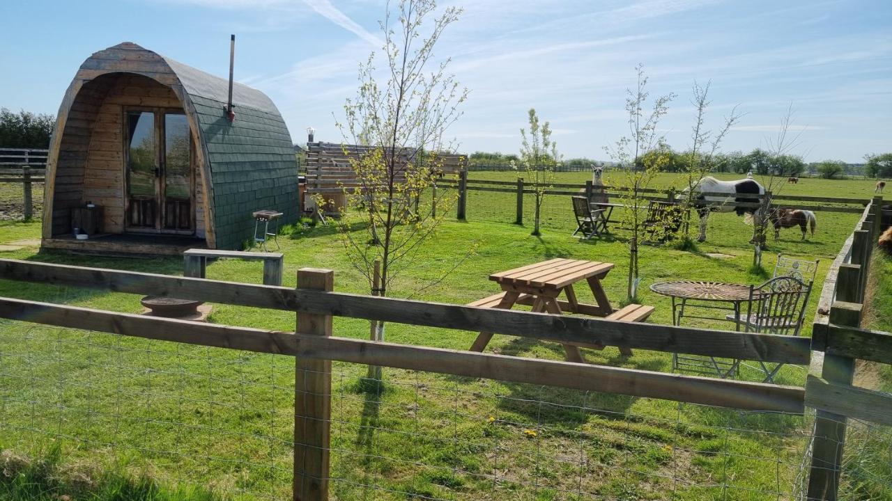 Skipbridge Farm Glamping 约克 外观 照片