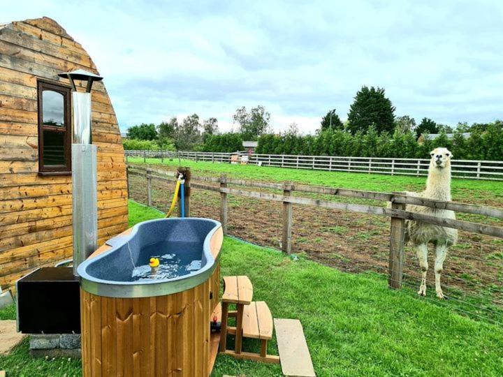 Skipbridge Farm Glamping 约克 外观 照片