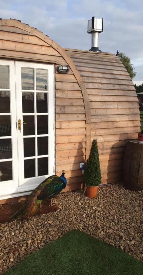 Skipbridge Farm Glamping 约克 外观 照片